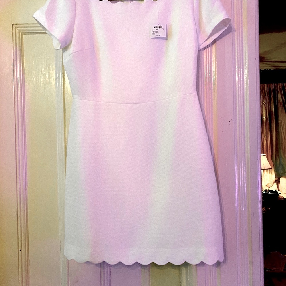 Club Monaco Avaline Daisy Cream Dress NWT